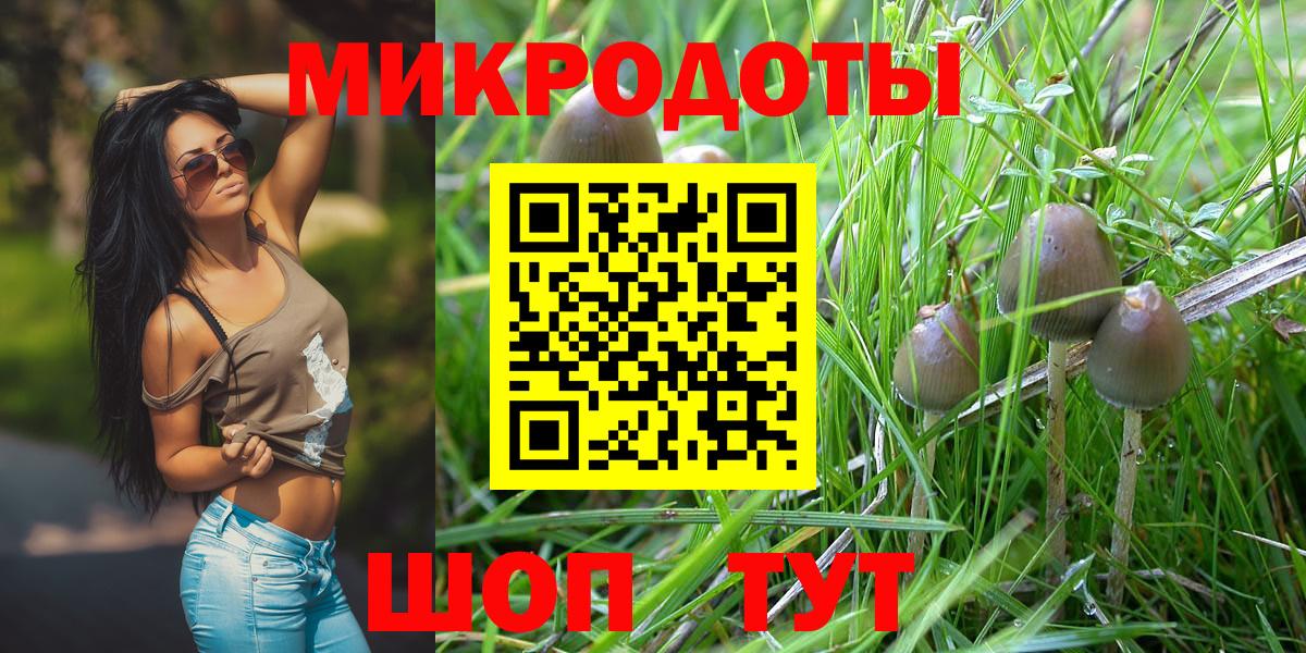 Дзержинск  Галлюциногенные грибы Magic Shrooms  Вход с VPN 