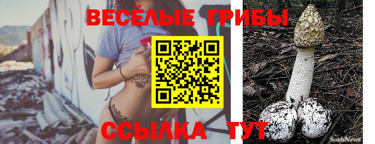 Псилоцибиновые грибы мицелий Дзержинск