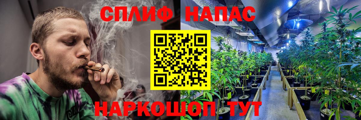 Бошки марихуана марихуана  Вход с VPN  Конопля Amnesia  Дзержинск  МАРИХУАНА гибрид 